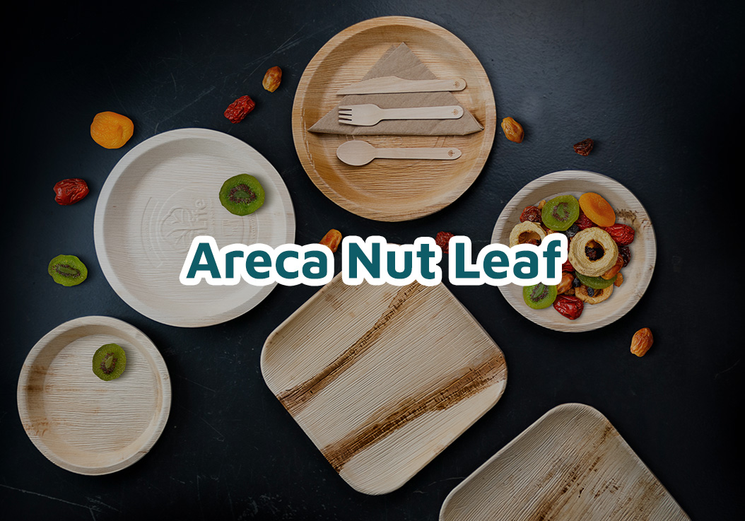 Areca Nut Leaf Range