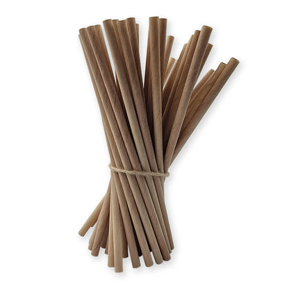 Wooden Straws 100PC